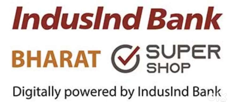 BSS INDUSIND BANK