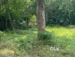65.4 cent Land Near to Champakkara Catholic Church