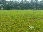 Land / Agricultural land