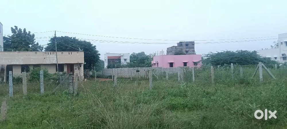 Trichy to Madurai NH