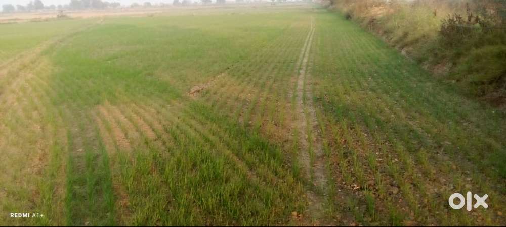 Industrial Land -3000 sq yard