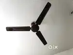 Crompton Fan  2.5 years old