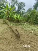 Thrickalathoor, Eranakulam Dist.