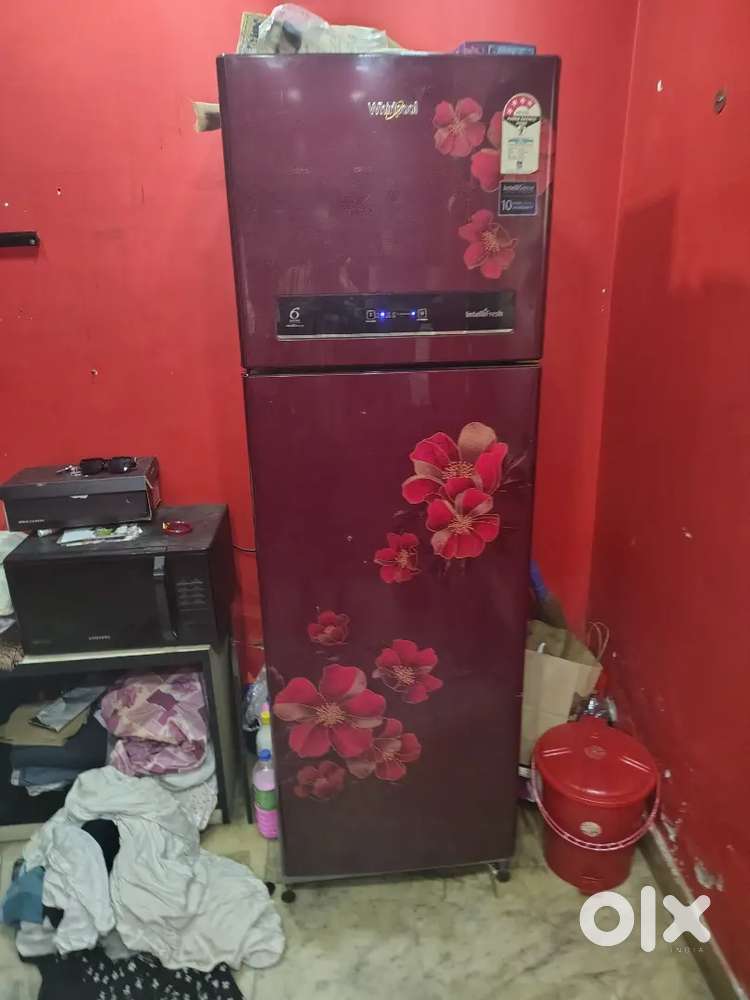 WHIRLPOOL REFRIGERATOR MODEL YEAR FF 2D 305 D/ 2019 TYPE FROST FREE