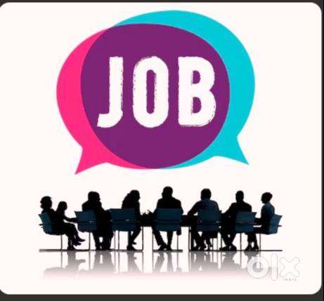 Required experience Recovery Boy & Collection Executive,Seizure