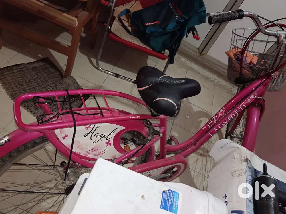 Lady bird not cycling dr advised old age not using for 2 years