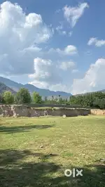 Land for sale in Awantipora for investment or farmhouse with spring