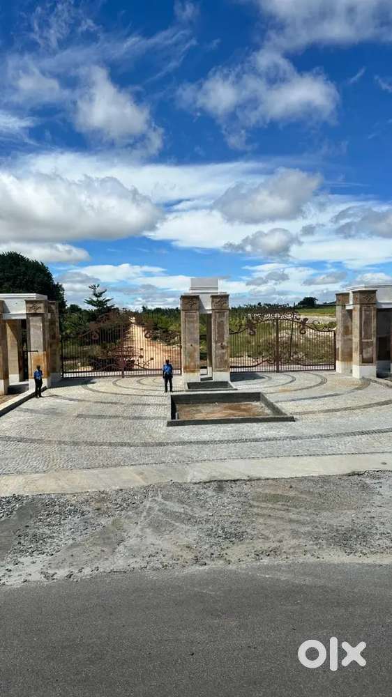 Sanvi Sandalwood Farm land