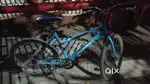 Decathlon cycle