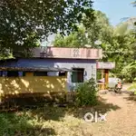 30cents House selling with land