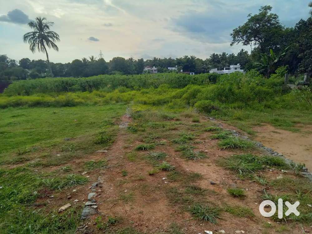 Fabulous projects for house plots are available at Kallekad