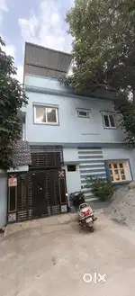 Only lease no pet allowed