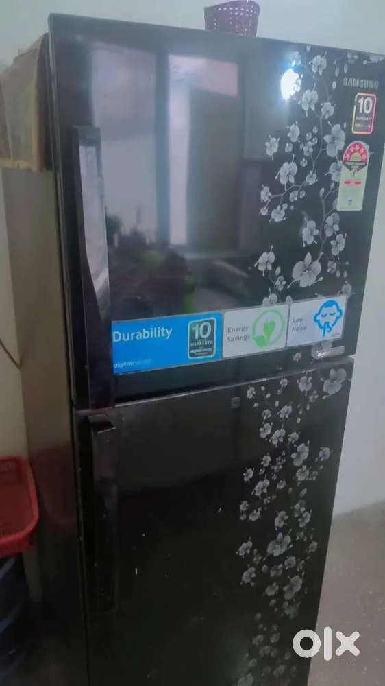 Fridge,  washing machine