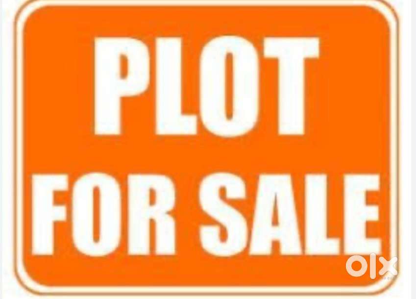 PLOT.   17000 /Gaj Shimlapuri Ldh