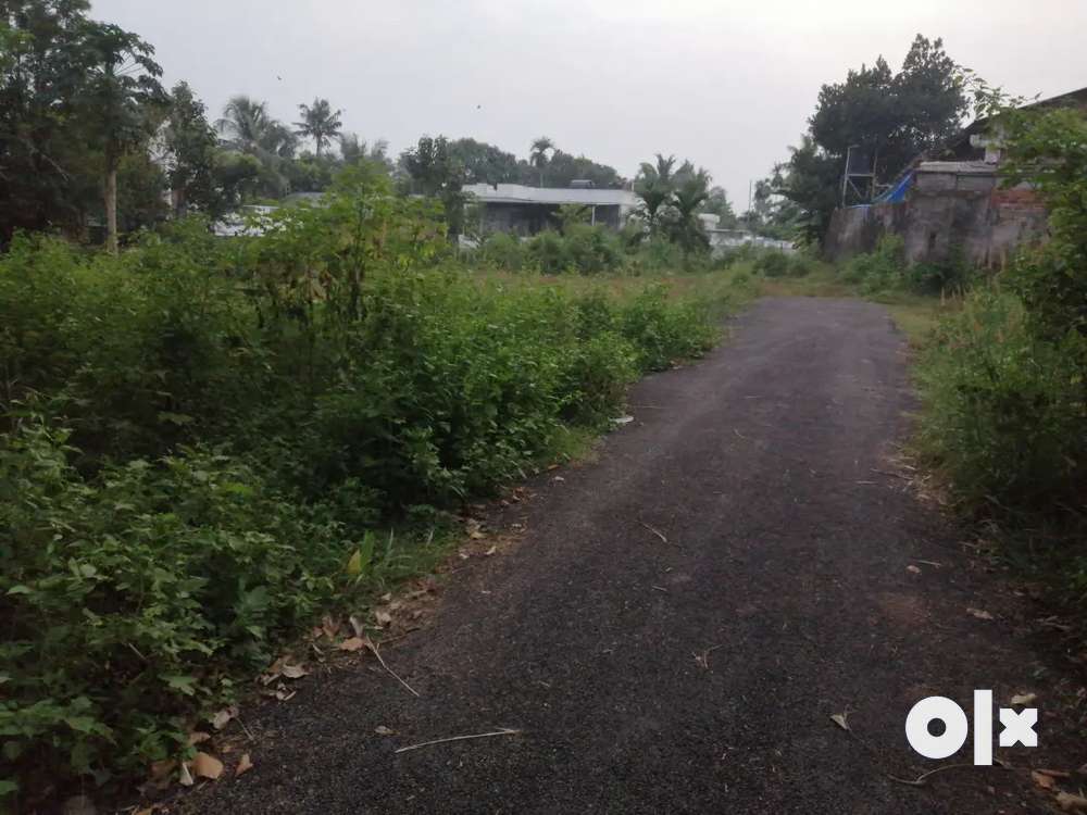 15 cent plot near Mapranam Block Irinjalakuda  Thrissur ഇരിഞ്ഞാലക്കുട