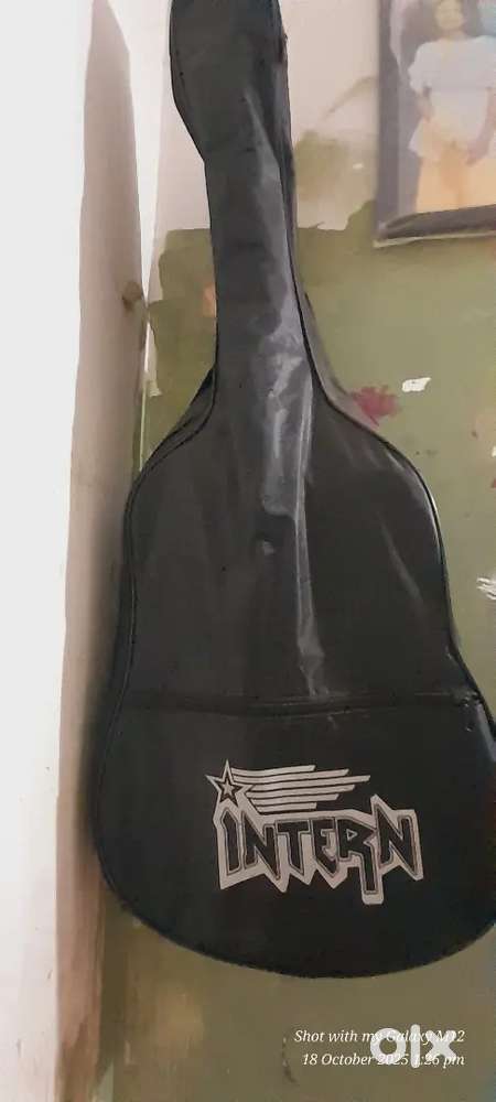 Guitar  intern company