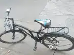 Sunbird bicycle