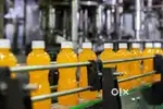 Wanted m/f /packing staffs[ part / full] for online grocery warehouse