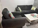 Grey Color Sofa