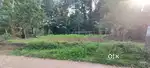 Urgent sale 14 cent Square plot
