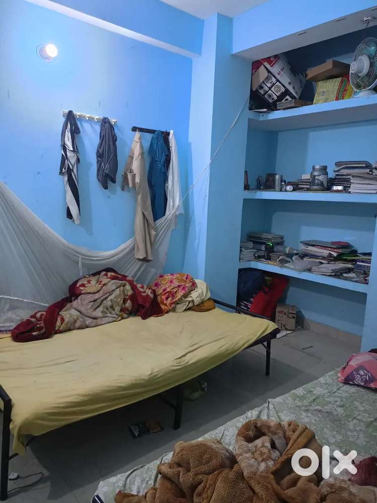 Need a one or two  bachlor