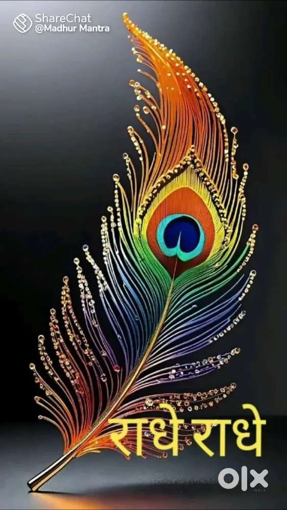 टेलीकॉलिंग ऑफिस वर्क