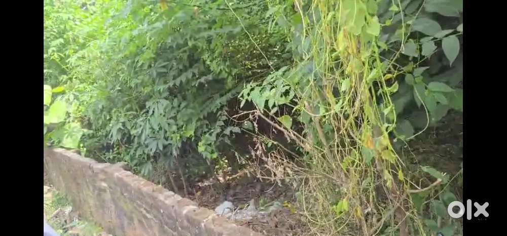 Plot in prime location Rajendra Nagar Pashchim