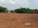 Vadavucode Pancode House Plot.