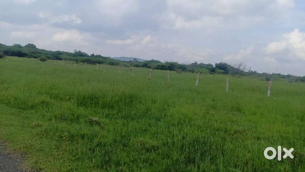 BUDGET FRIENDLY PLOT FOR SALE
