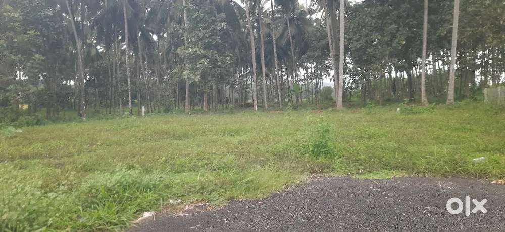 Kerala Nagar Vallicode jn Stan's school rd 600,metr Calicut Bypass