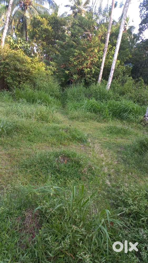 5 cent plot for sale