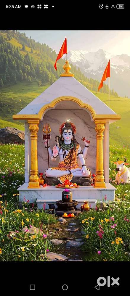 জাভা বাজারে জমি বিক্রয়