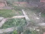 Shidhivinayak hospital ke age