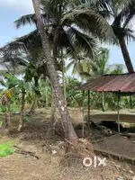 plot for sale 5 acres land