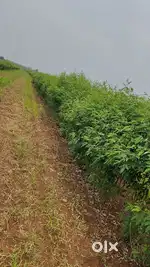 5 acre land