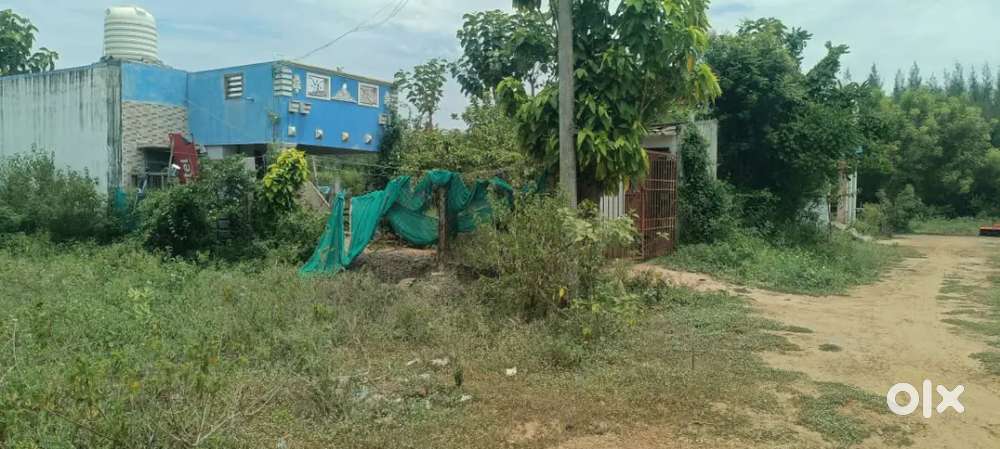 Panruti Poongunam Plot For Sale DTCP Approval