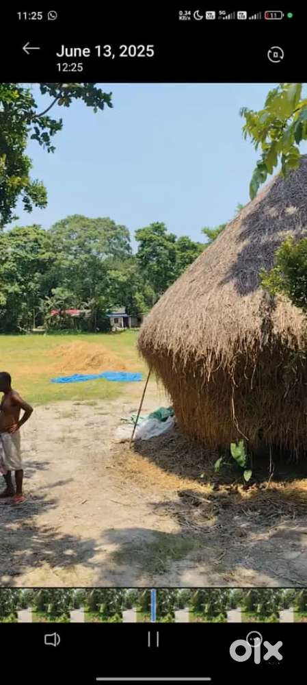 1.6 bigha land in bortola main high way road