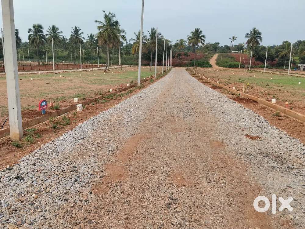 15 kms from Mysore city