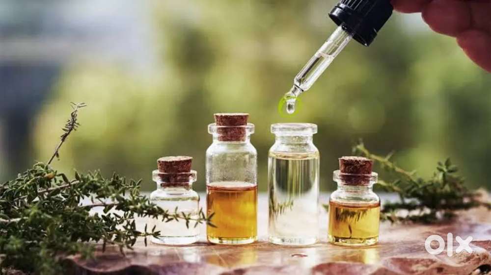 We are Providing hair treatment and haircuts for women