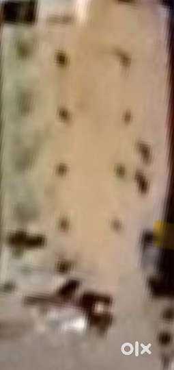 Two crore Fifty lakhs/-