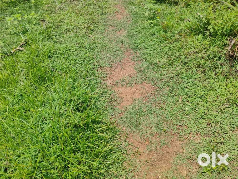 CHIRAKKARA 190 CENTUM VIEEDUM VILPANAYIKK