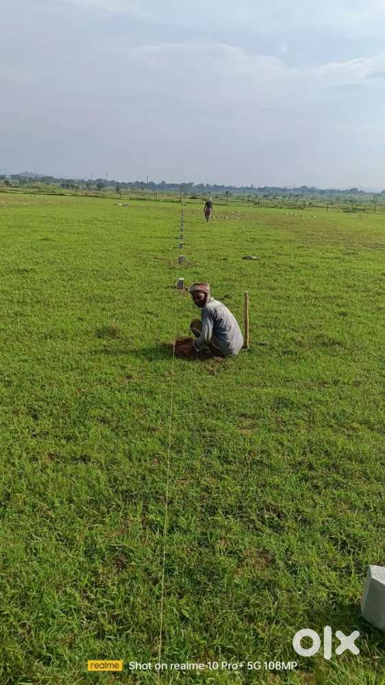 Registered land for sale