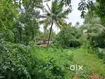 4.65 cents residential plot for sale