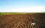 LAND FOR SELL