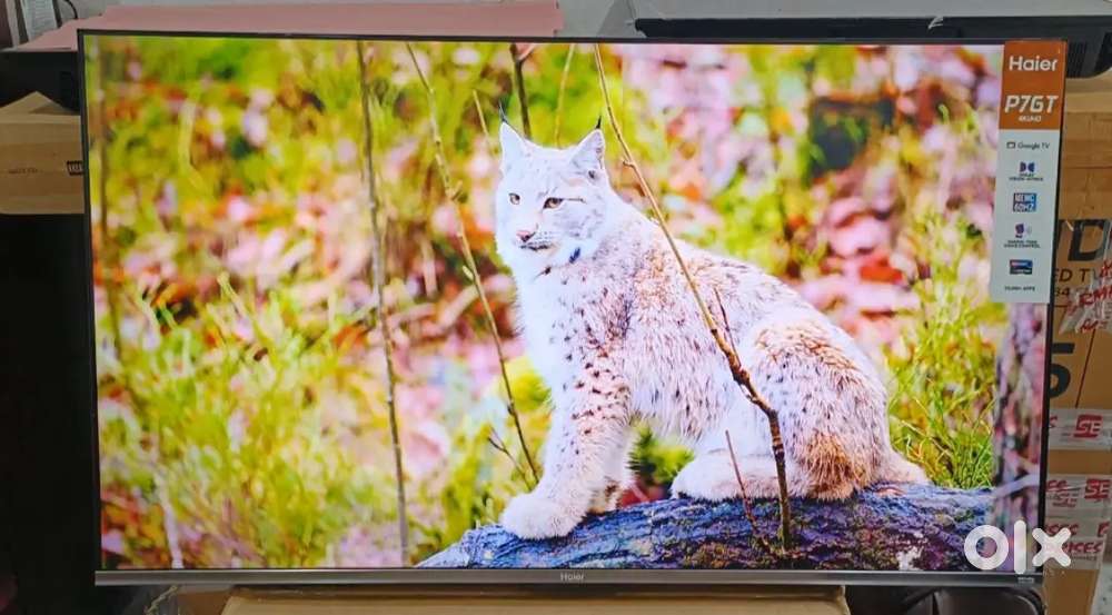 HAIER 50INCH 4K HQLED SMART GOOGLE TV VOICE CONTARL 50P7GT