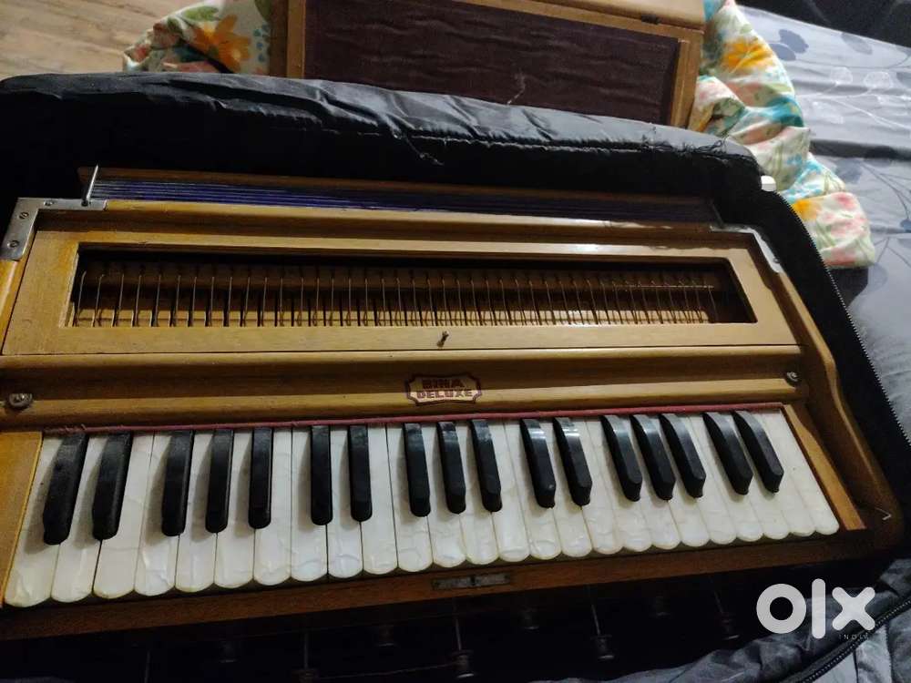 Harmonium bina deluxe