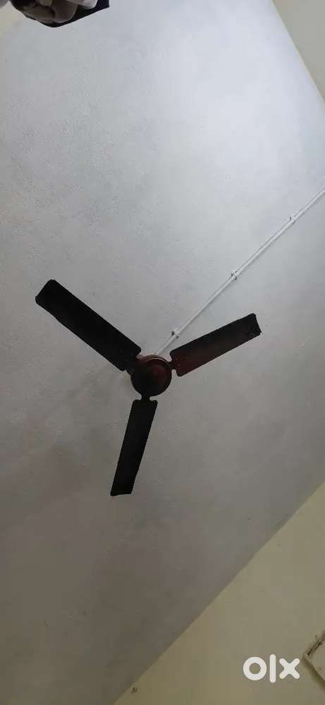 Need a flatmate for 3bhk flat