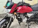 Yamaha Saluto RX