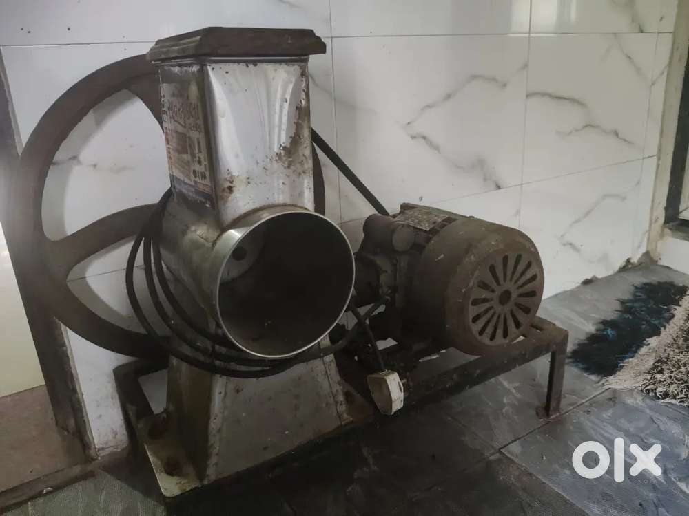 Chinese manchuriyan cobeach electric machine