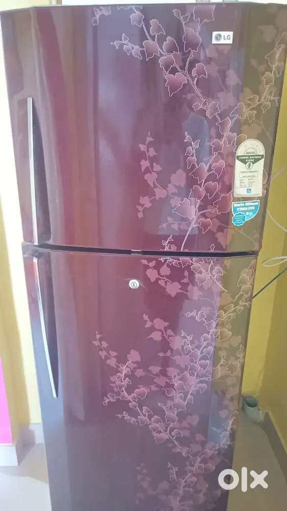 LG double door Refrigerator 290L storage volume